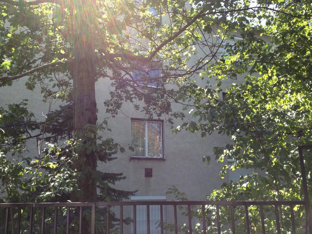Platan Apartman Budapeszt Pokój zdjęcie